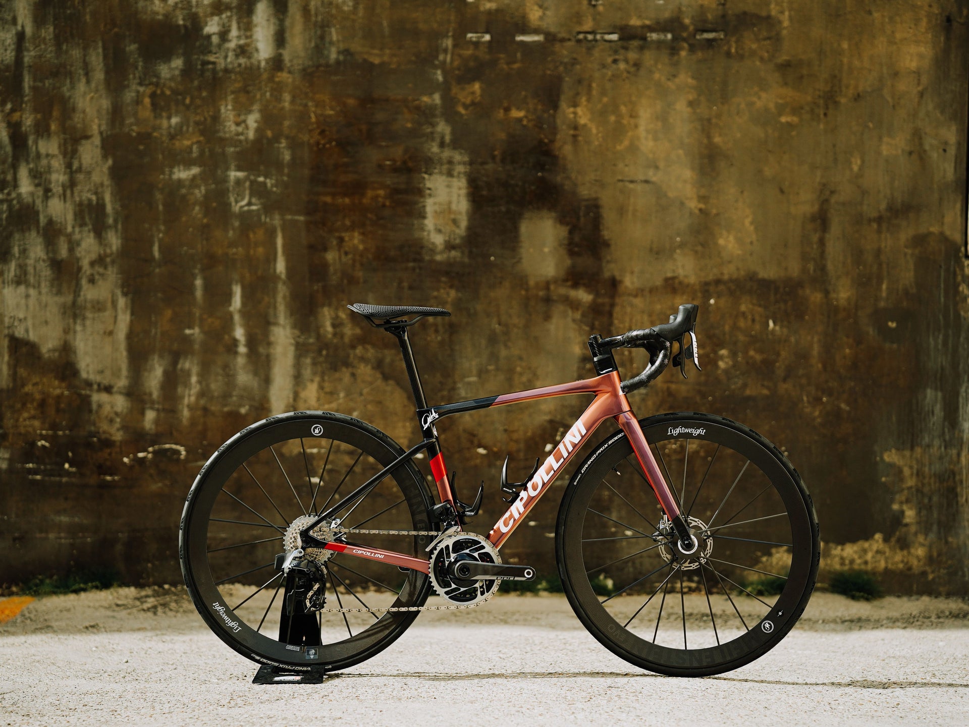 CIPOLLINI DOLOMIA
