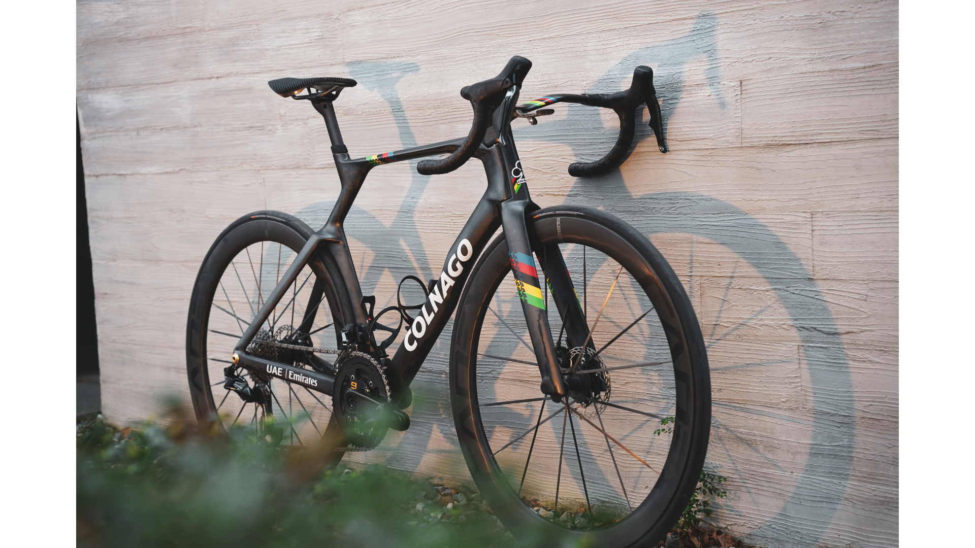 COLNAGO Y1RS